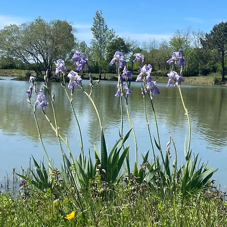 דירה L'heberge Du D'isachris Queyrac