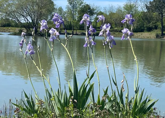 דירה L'heberge Du D'isachris Queyrac